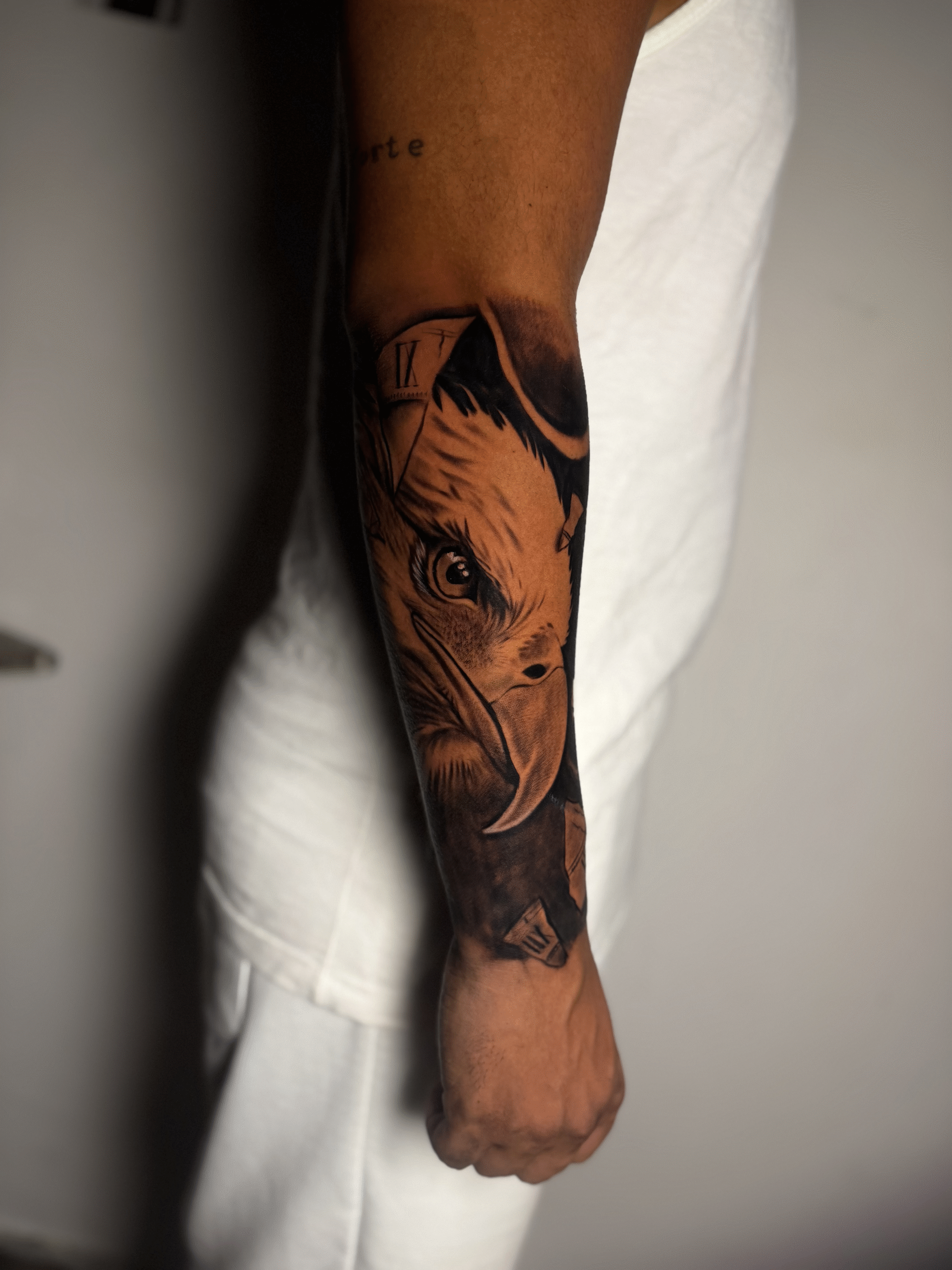 Tatuagem Fineline e Sombreada