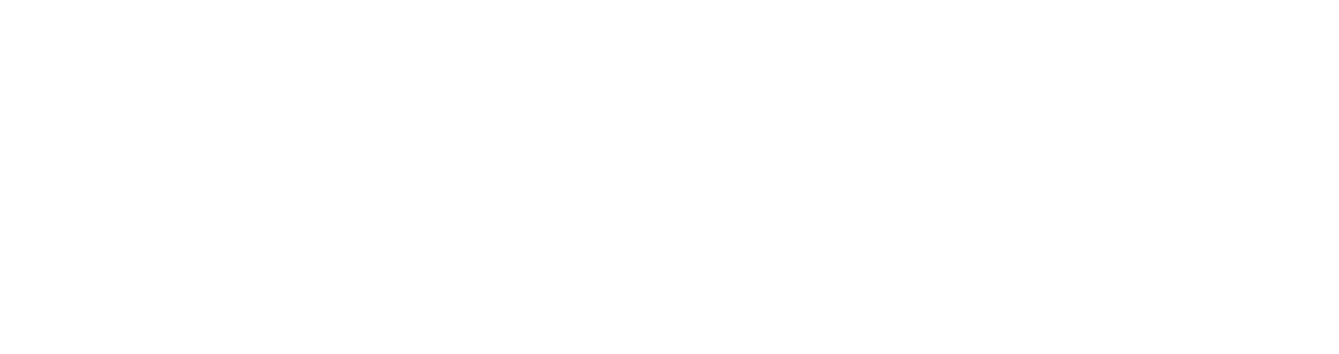Metica